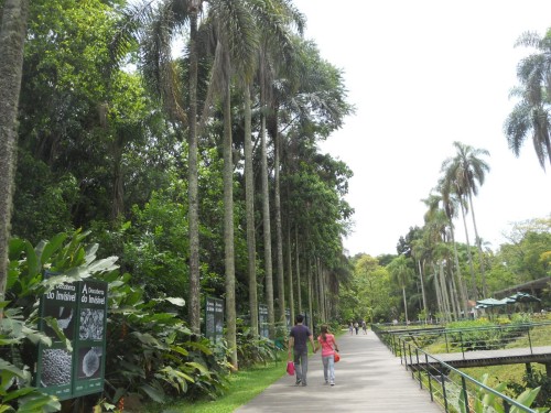 Jardim Botânico lugar tranquilo para passear com as crianças | Divulgação