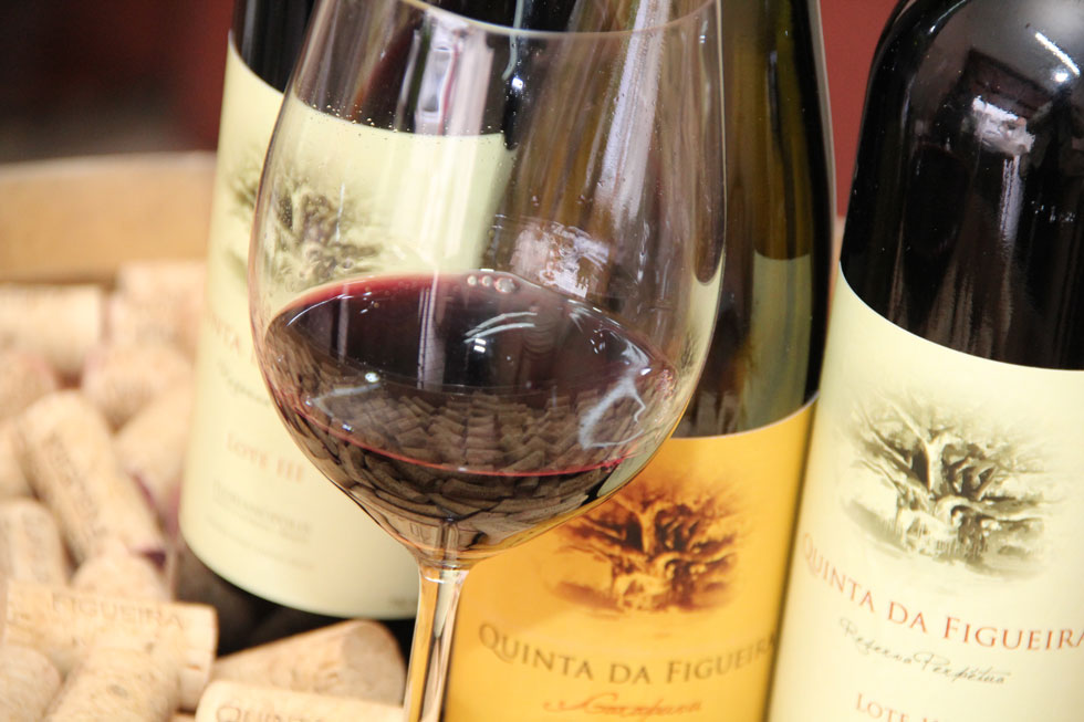 Vinho Arte da Vinha é produzido por Eduardo Zenker no Rio Grande do Sul (Foto: Divulgação)