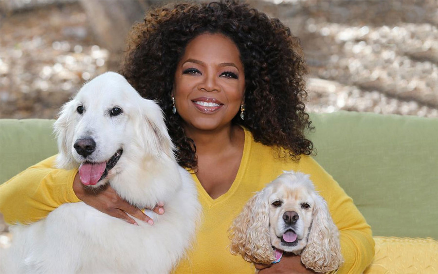 Oprah Winfrey e seus pets (Foto: Divulgação)