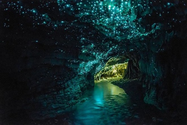 gruta na nova zelândia (foto: divulgação)