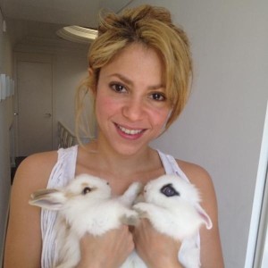 Os pets da Shakira (Foto: Divulgação)