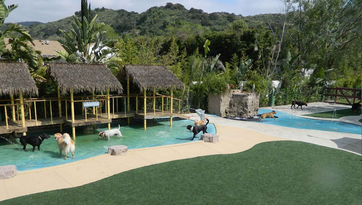 Paradise Ranch Pet Resort (Foto: Divulgação)
